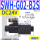 SWH-G02-B2S-D24-20