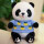 熊猫 菠萝蓝毛衣