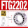 FTG2202/P5(153514)