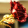 9支红玫瑰花束9朵礼盒包装