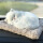小白猫-毛垫子（含活性炭）