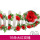 16朵-红色玫瑰花
