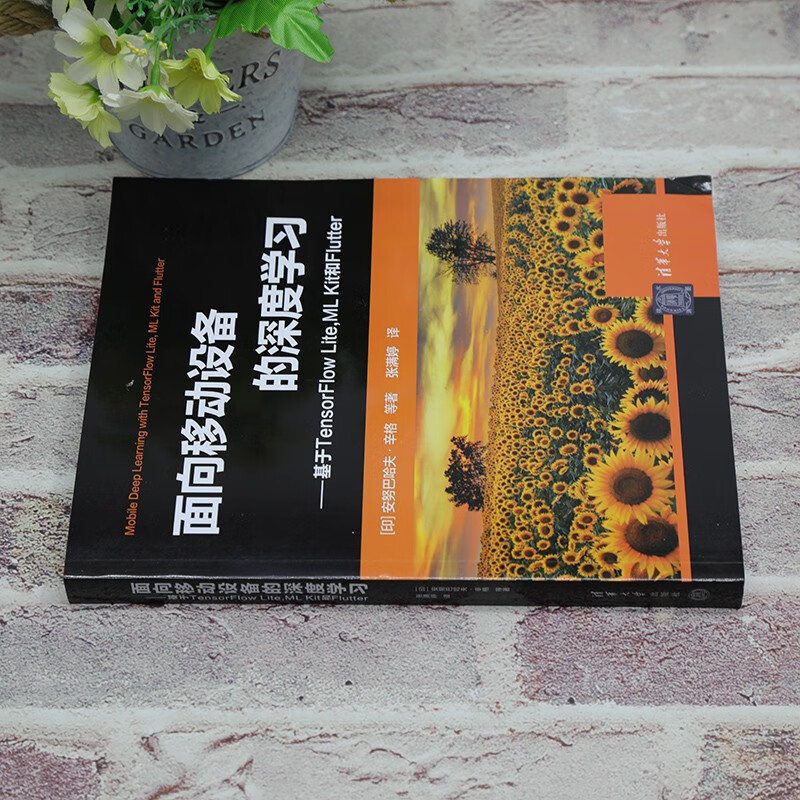 面向移动设备的深度学习——基于TensorFlow Lite,ML Kit 和Flutter详情图
