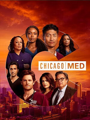 芝加哥医院第6季