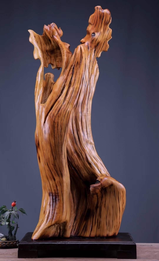 太行崖柏【观音】4626