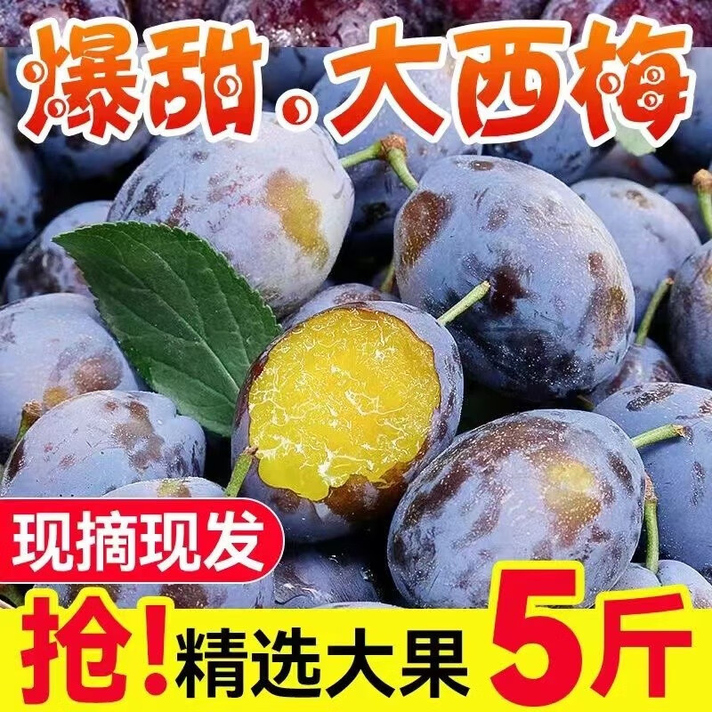 【JD旗舰店】阿树尚西梅 应季大果 甄选5斤装