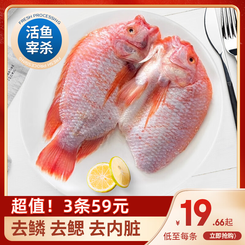 简鲜三去净膛彩虹斑400g/条 彩虹鲷红罗非鱼 400克*3条