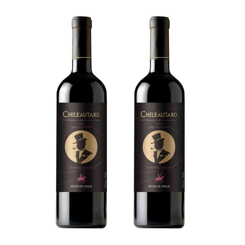 【扫码价598/瓶】智利中央山谷产区进口红酒干红葡萄酒750ml/2瓶