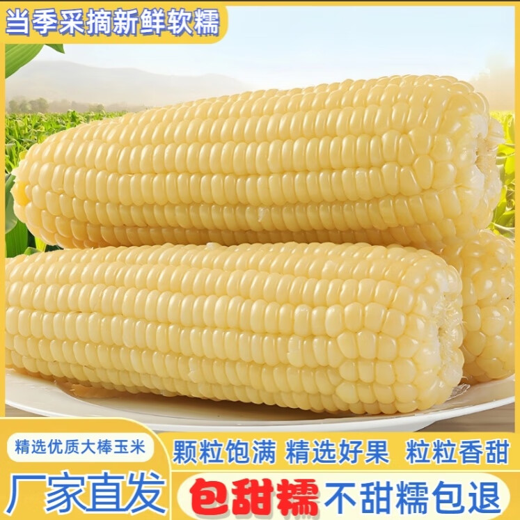 【旗舰店】王老宝 东北糯玉米 白糯8支透明袋(单支260g-350g)