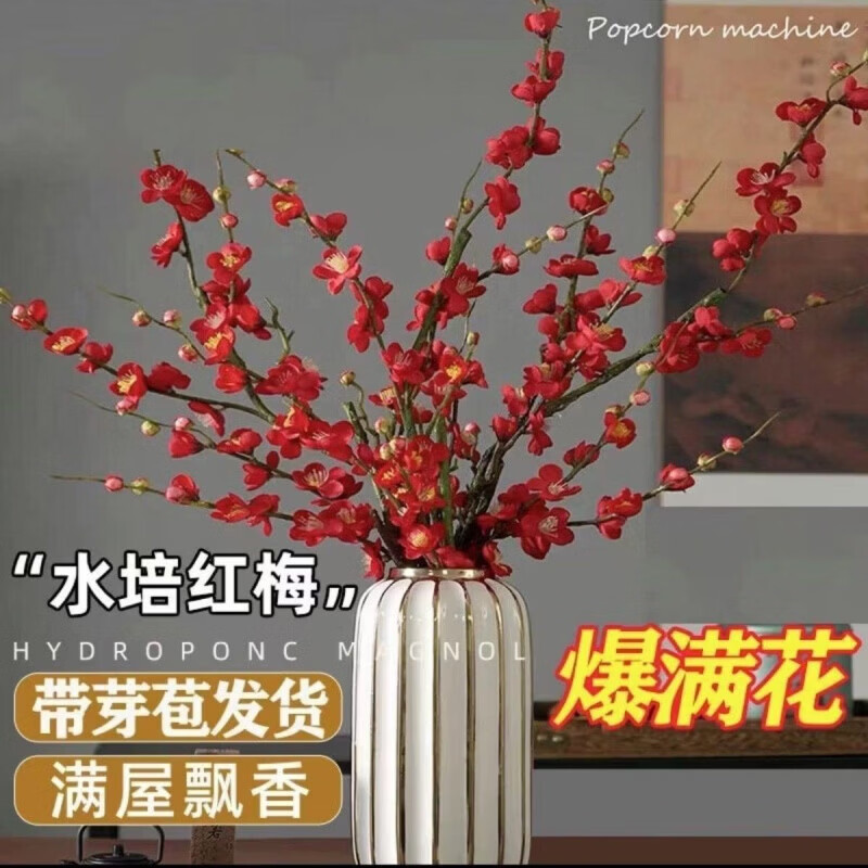 水培干枝梅花 红色遇水开花 40-50cm(20枝)