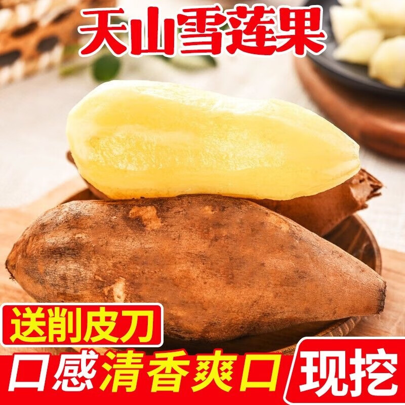 果迎鲜 雪莲果 5斤