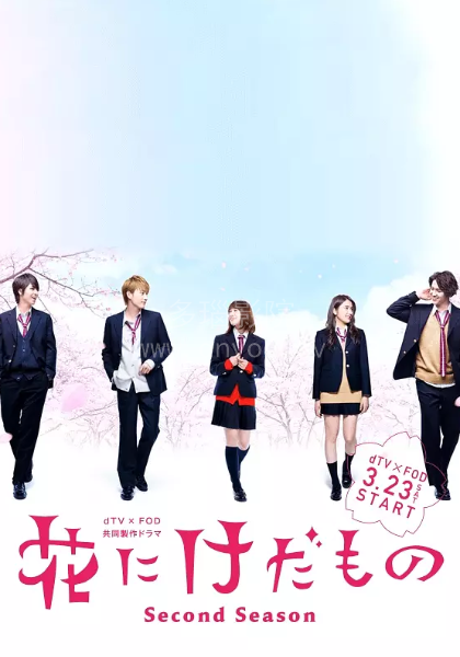 花予野兽第二季