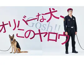 奥莉佛是狗（天哪！）这家伙