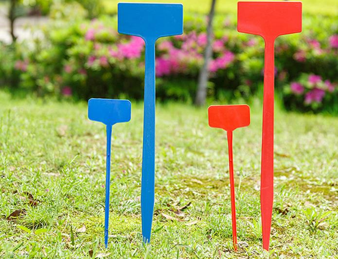 园艺连体平面塑料大号插地牌园艺标签农用玉米试验地记号指示标牌科研