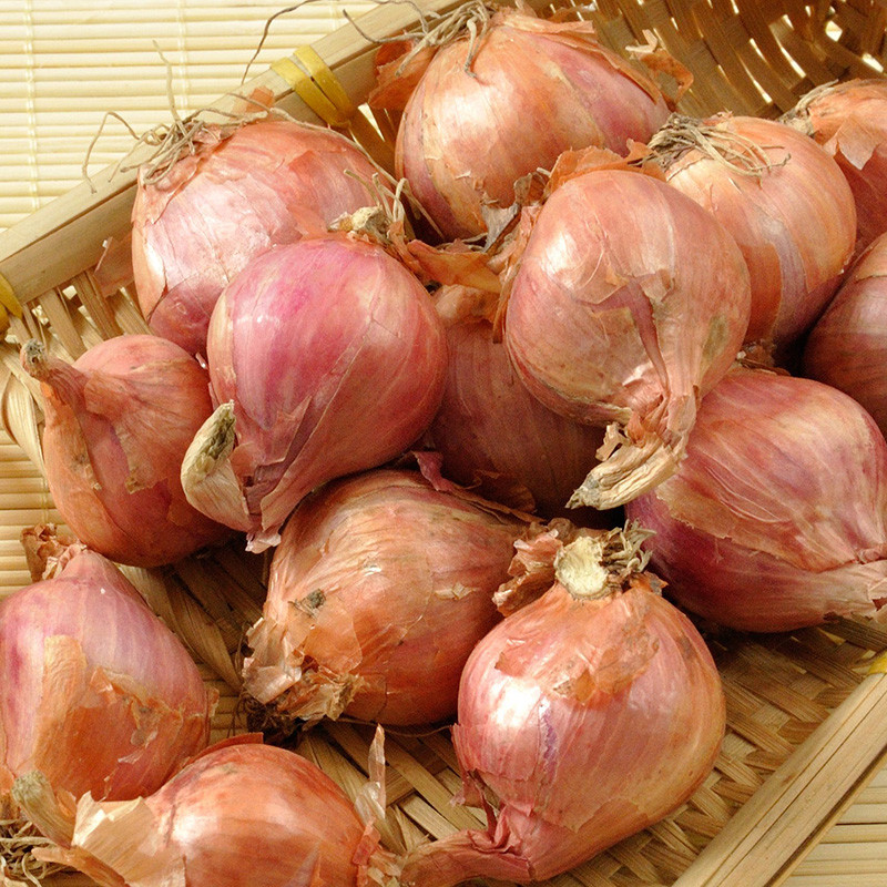 轻恋东北小毛葱 紫皮小洋葱 5斤 鬼子葱 新鲜蔬菜 珠葱小红葱头【图片