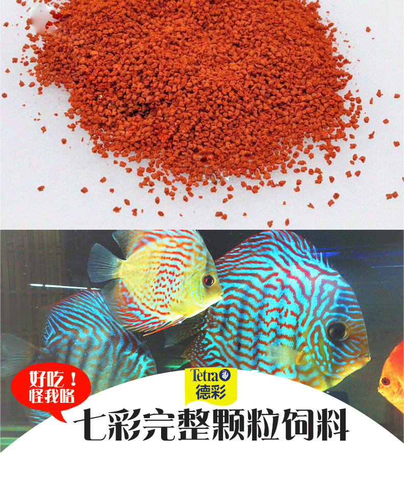 德彩七彩神仙鱼饲料鱼粮鱼食德彩七彩饲料小型鱼食热带鱼粮1000ml 300g大瓶 1瓶 图片价格品牌报价 京东