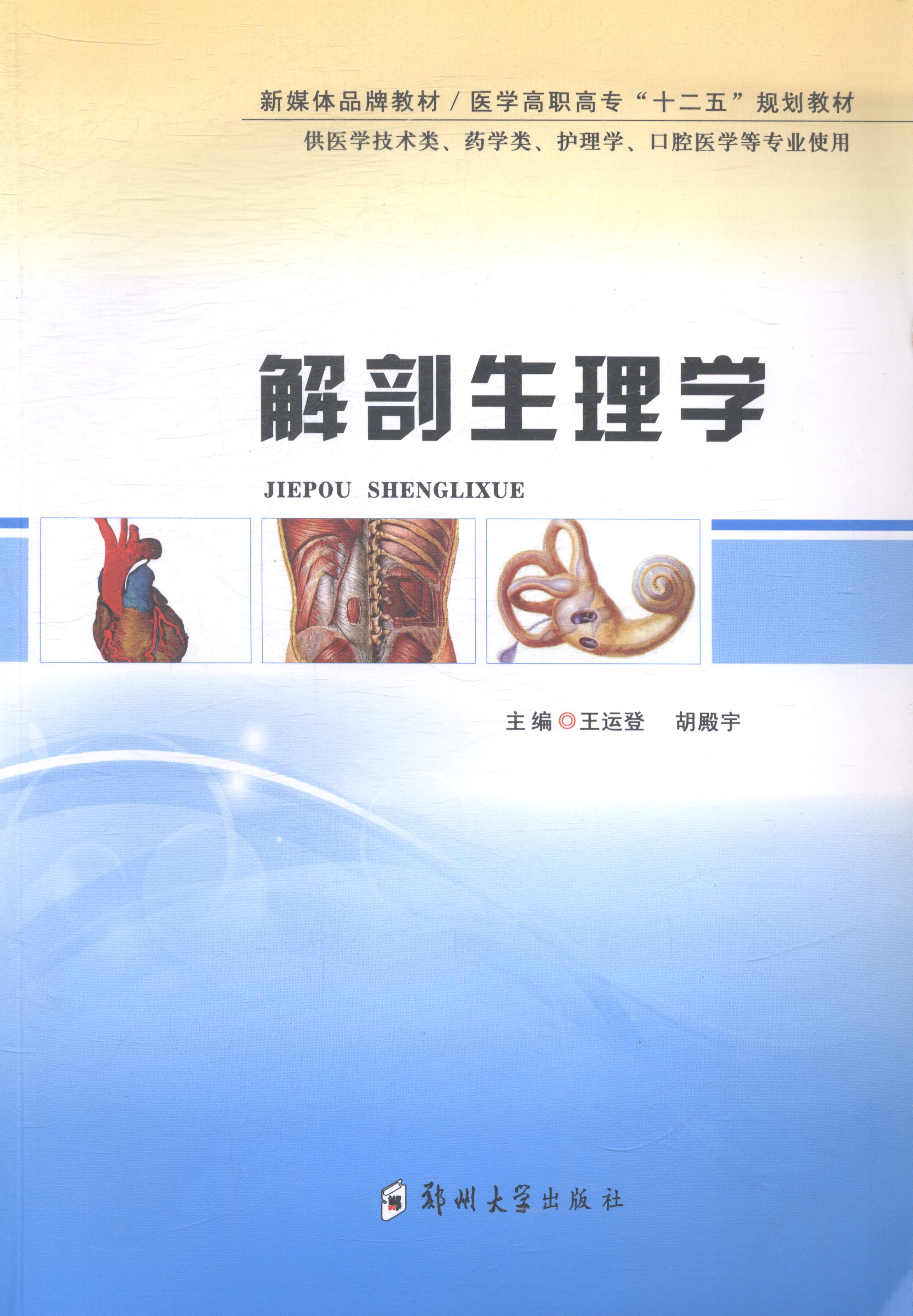 解剖生理学