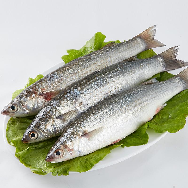 福建新鲜鲻鱼15kg海鲜水产送礼佳品顺丰航空